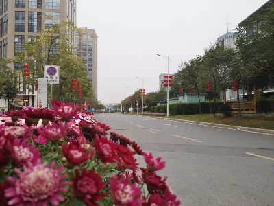 广州众科仪器有限公司