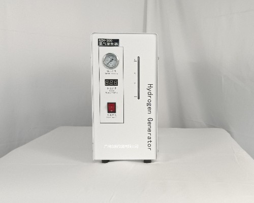 GZH-300氢气发生器高纯氢气发生器 title=